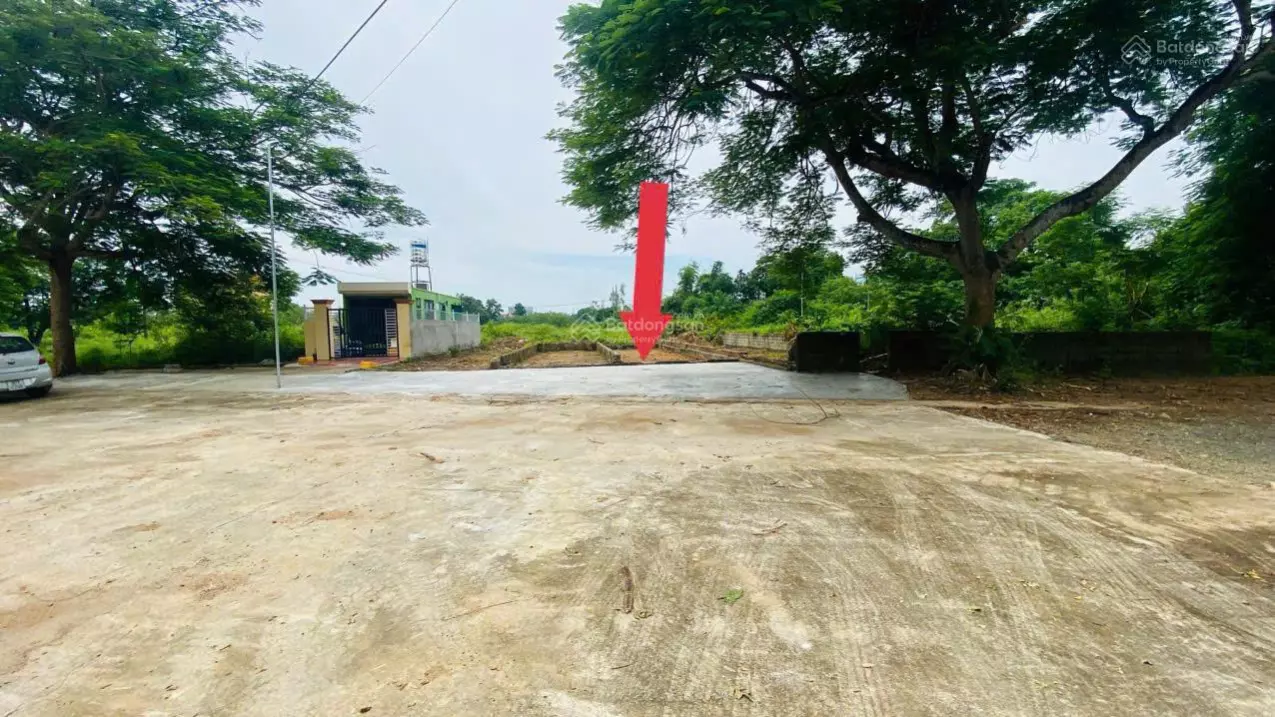 Nam Tu Liem