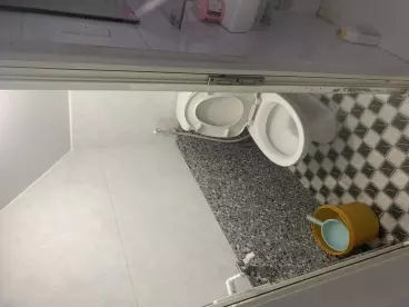 Go Vap