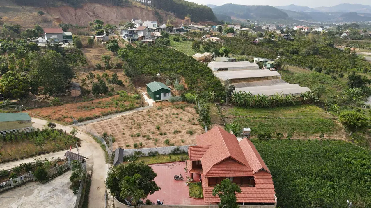Lam Ha