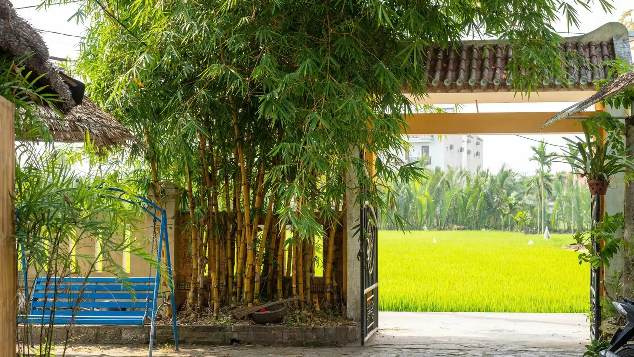 Hoi An