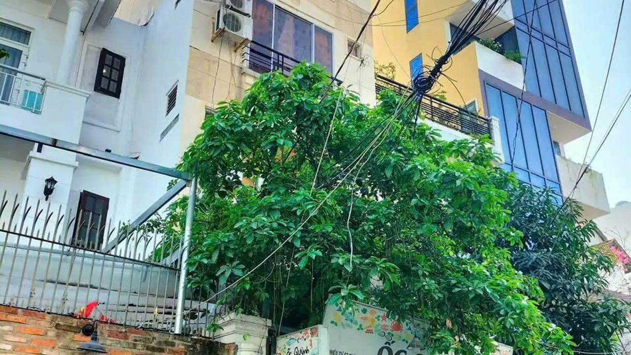 Phu Nhuan
