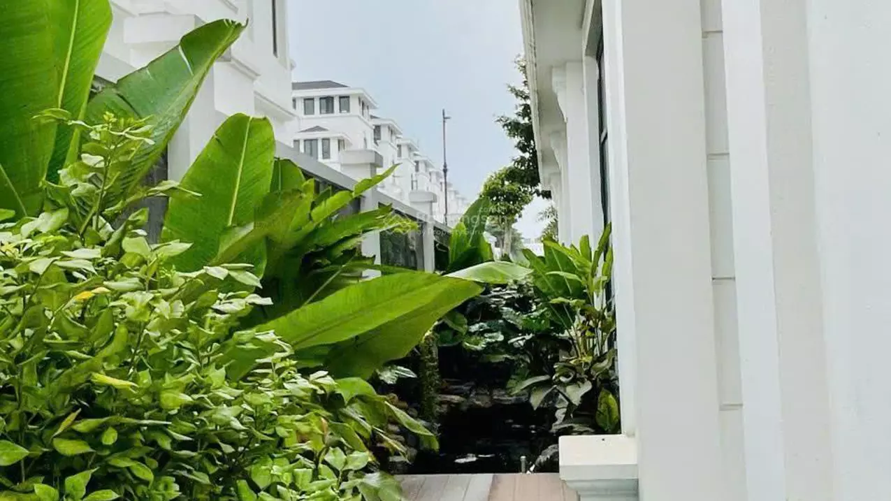Hoang Mai