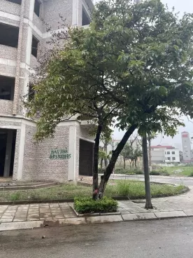Hoai Duc