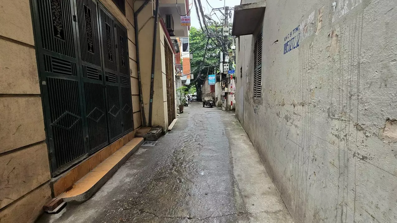 Hoang Mai