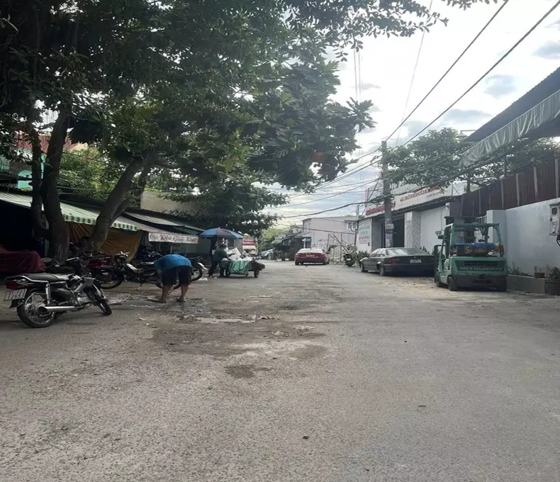 Tan Phu