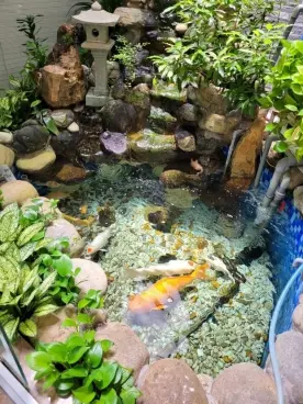 selling villa cach august revolution - tan binh, hxh for 27.5 billion