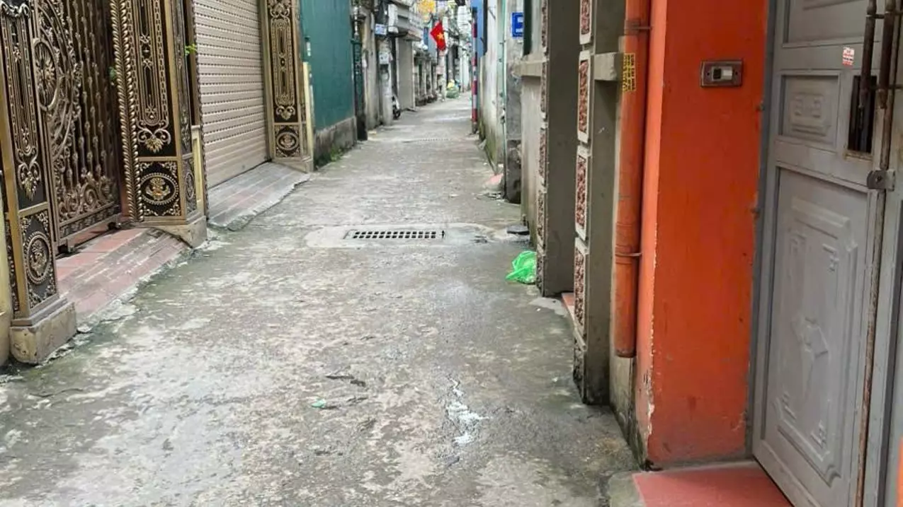 Hoang Mai