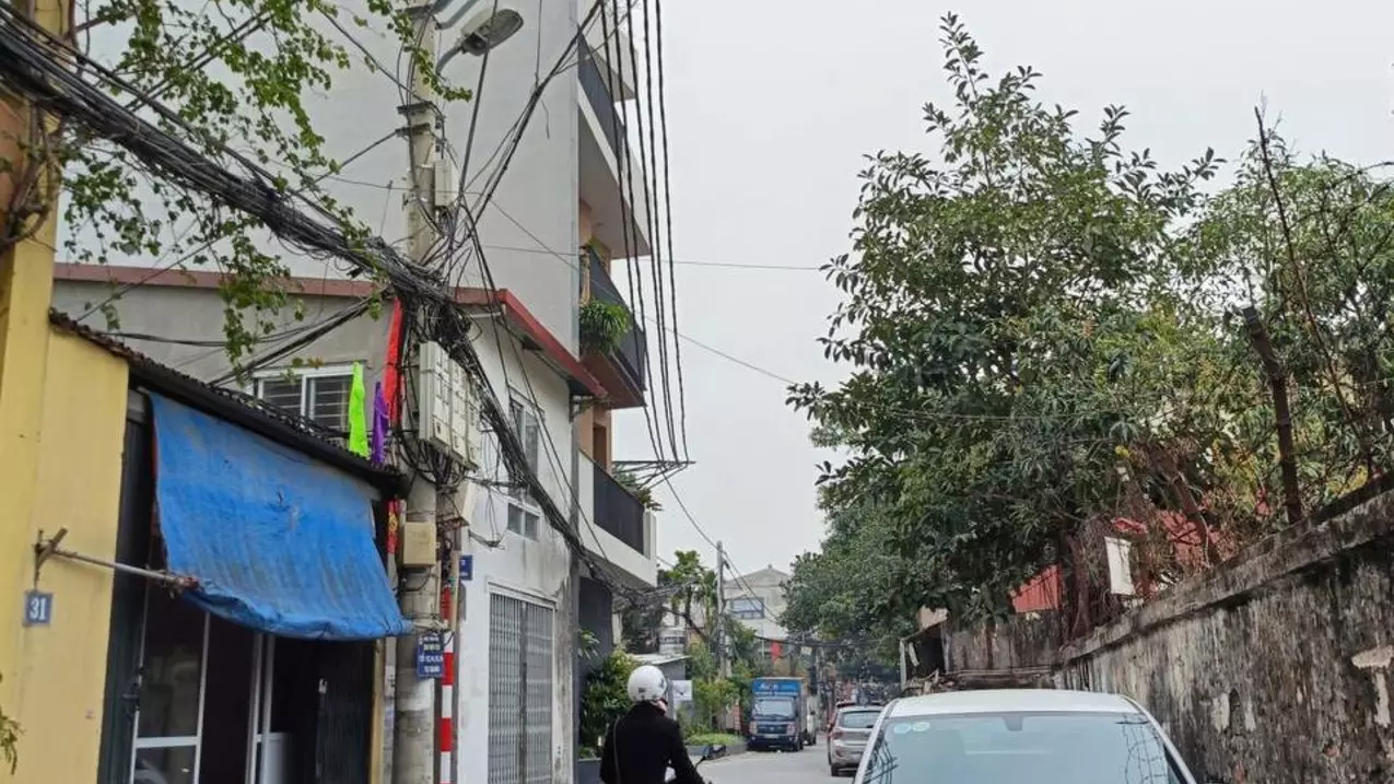 Hoang Mai