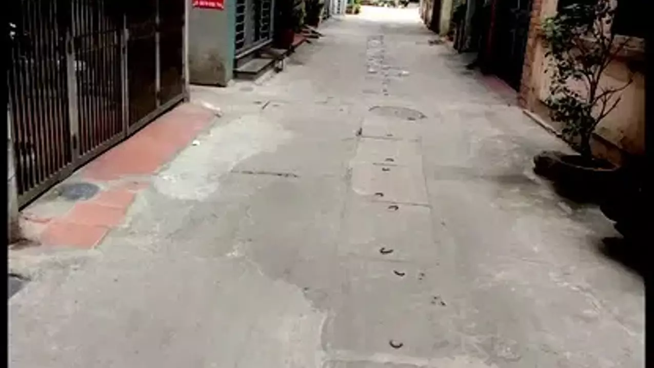Hai Ba Trung