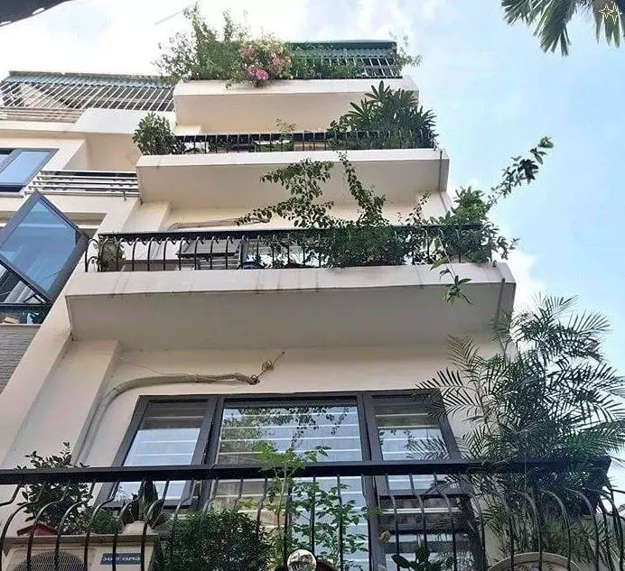 Ba Dinh