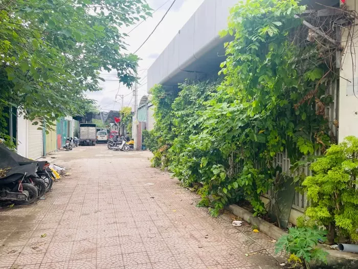 Hoang Mai