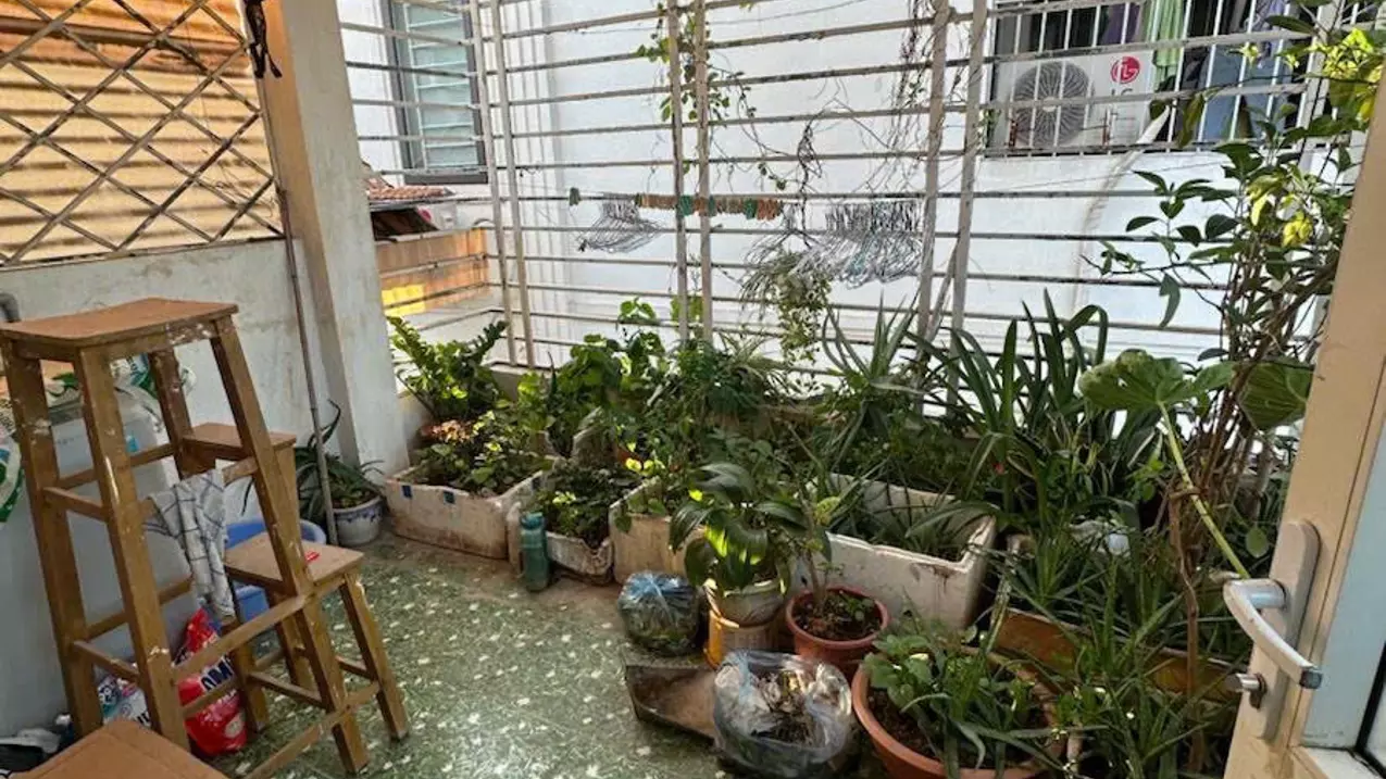 Hoang Mai