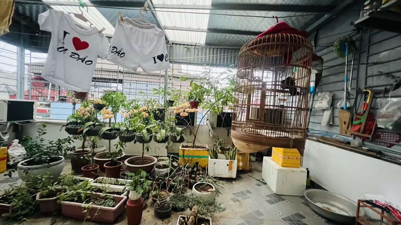 Hoang Mai