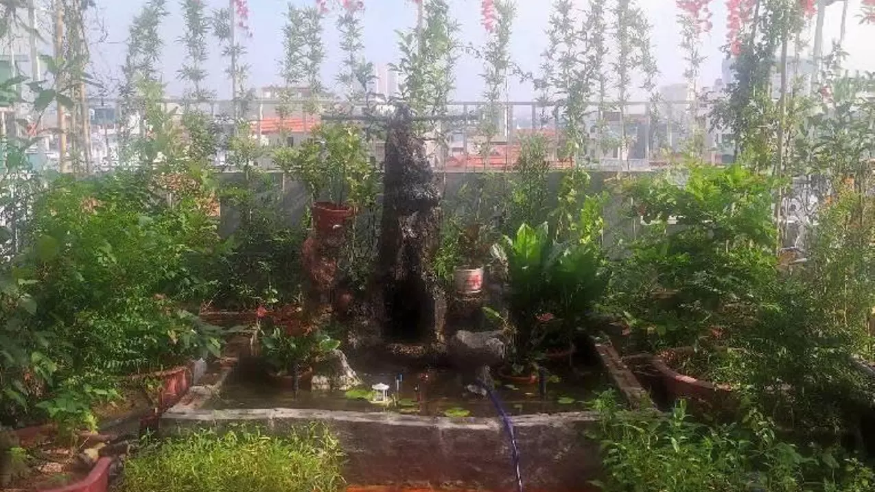 Bac Tu Liem