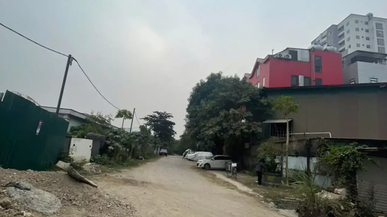 Hoang Mai