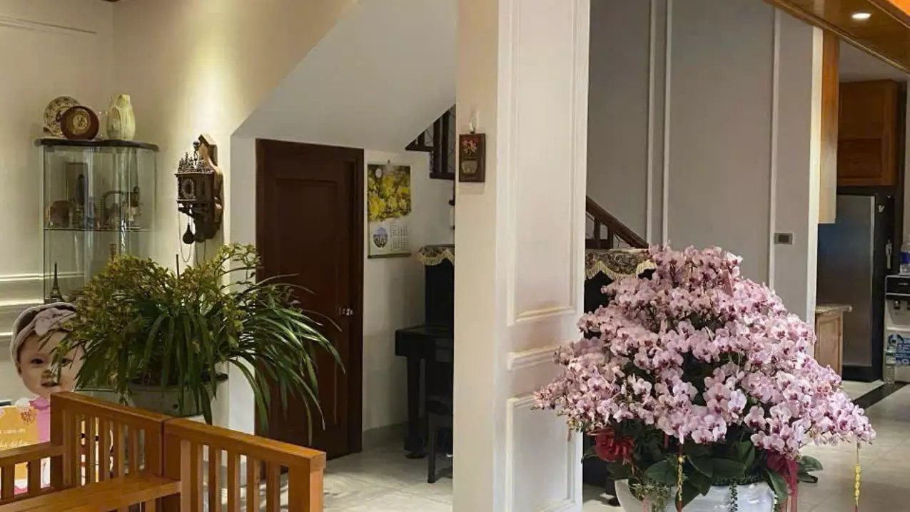 Hoang Mai