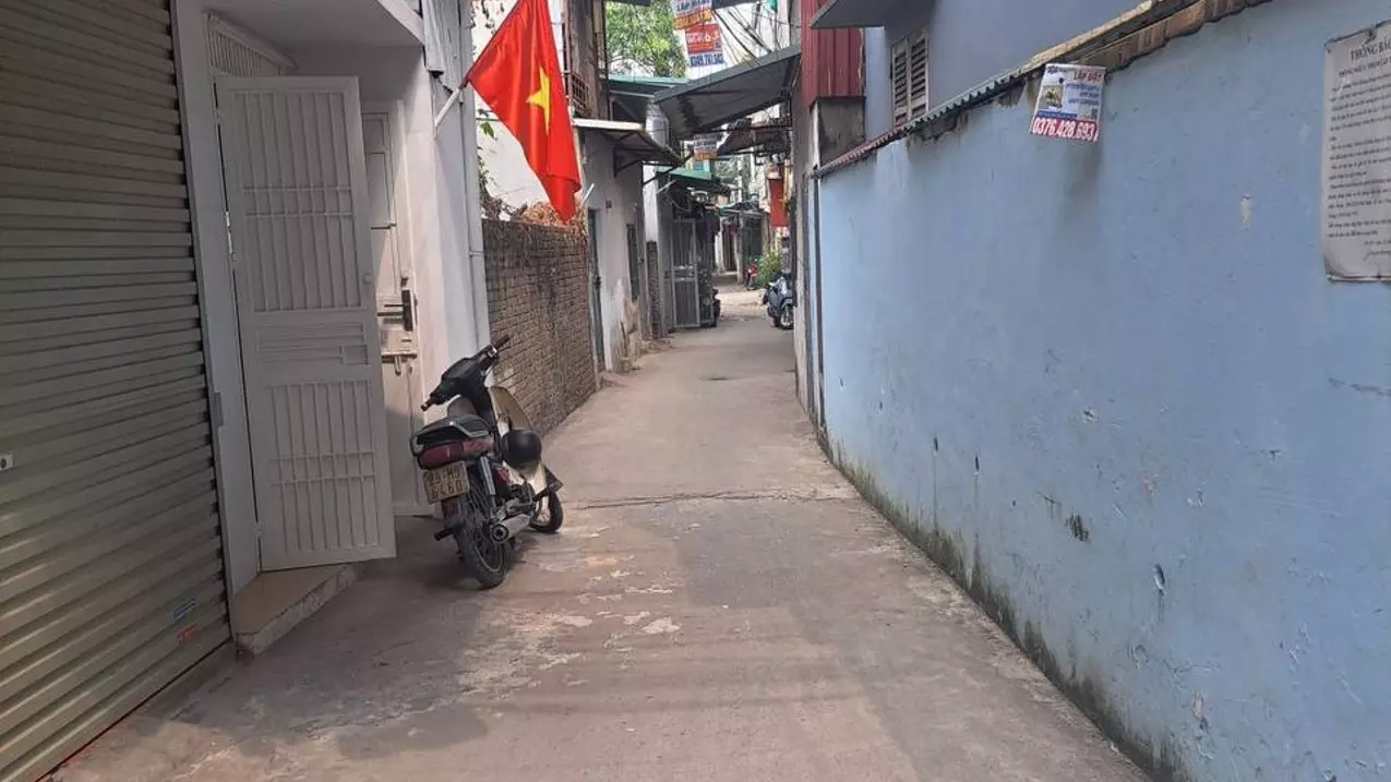 Hoang Mai