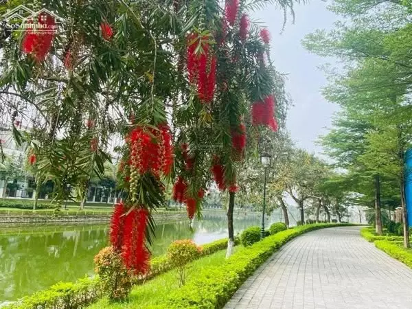 Hoai Duc