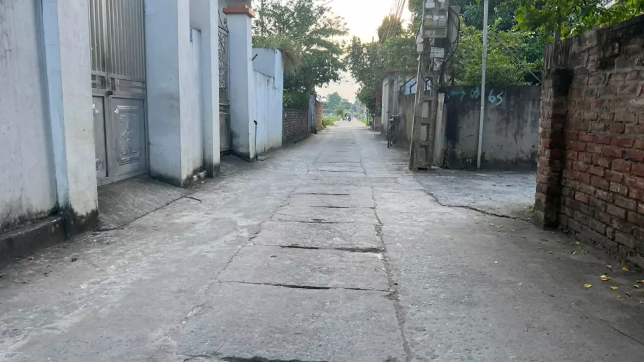 Hoang Mai