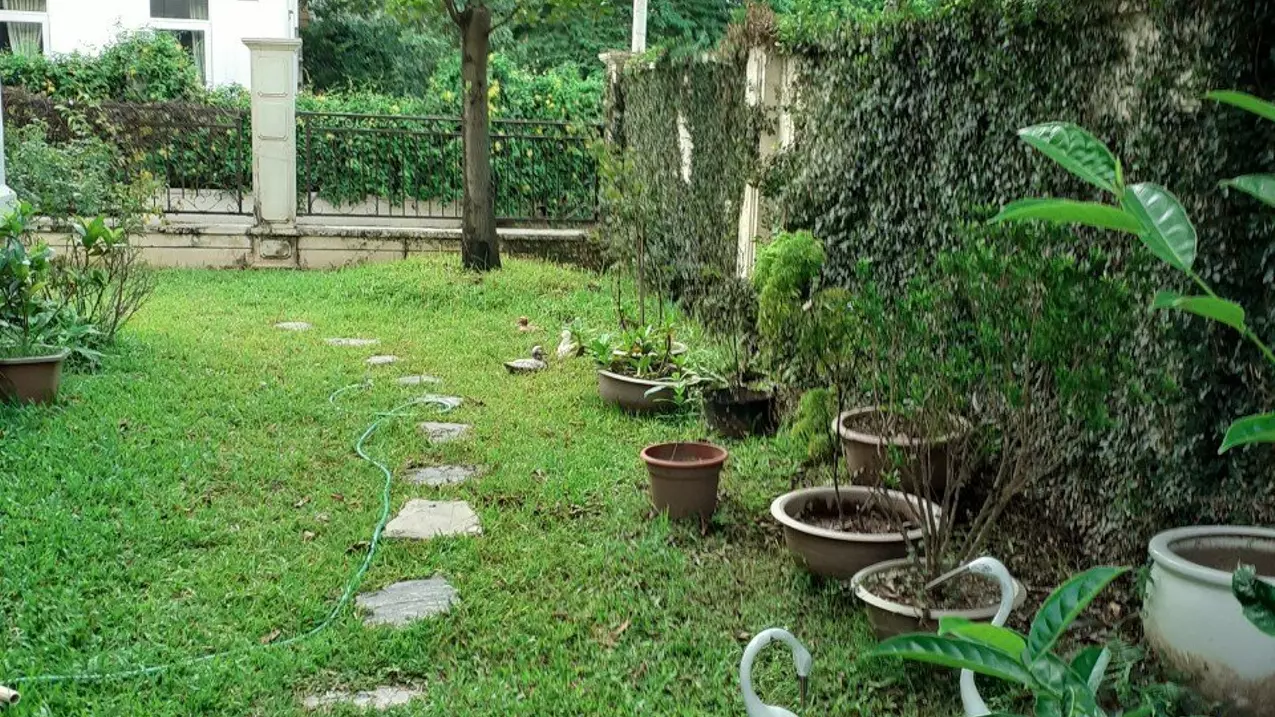 Hoai Duc