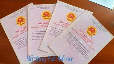 Bu Dang