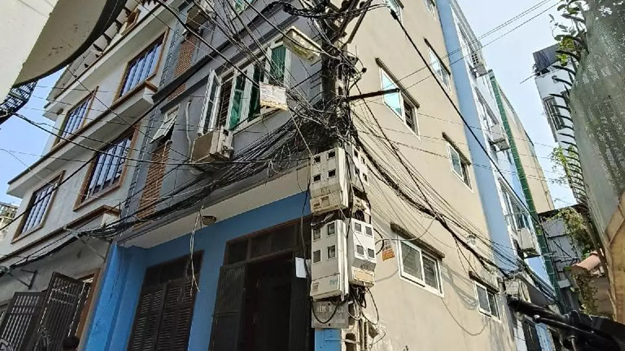 Hoang Mai