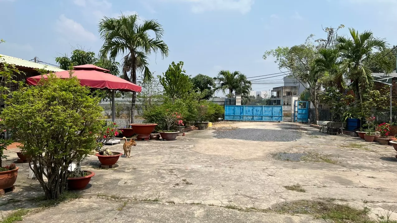 Binh Chanh