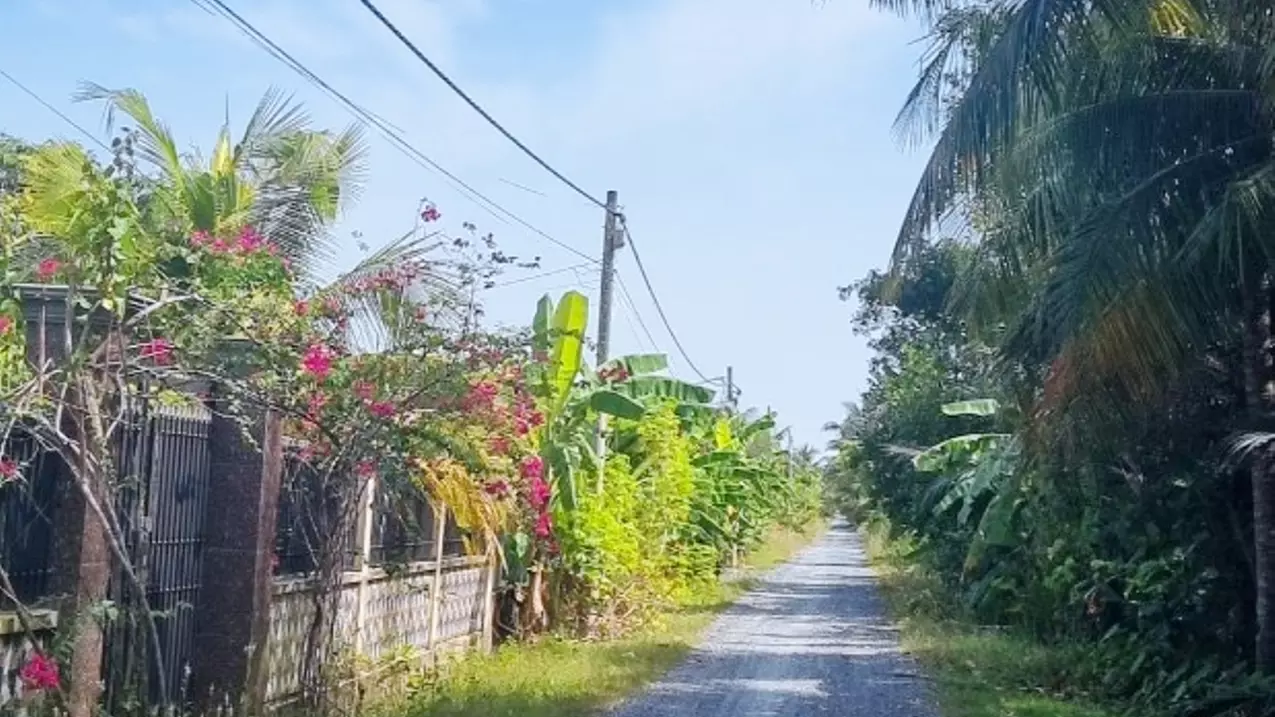 Binh Chanh