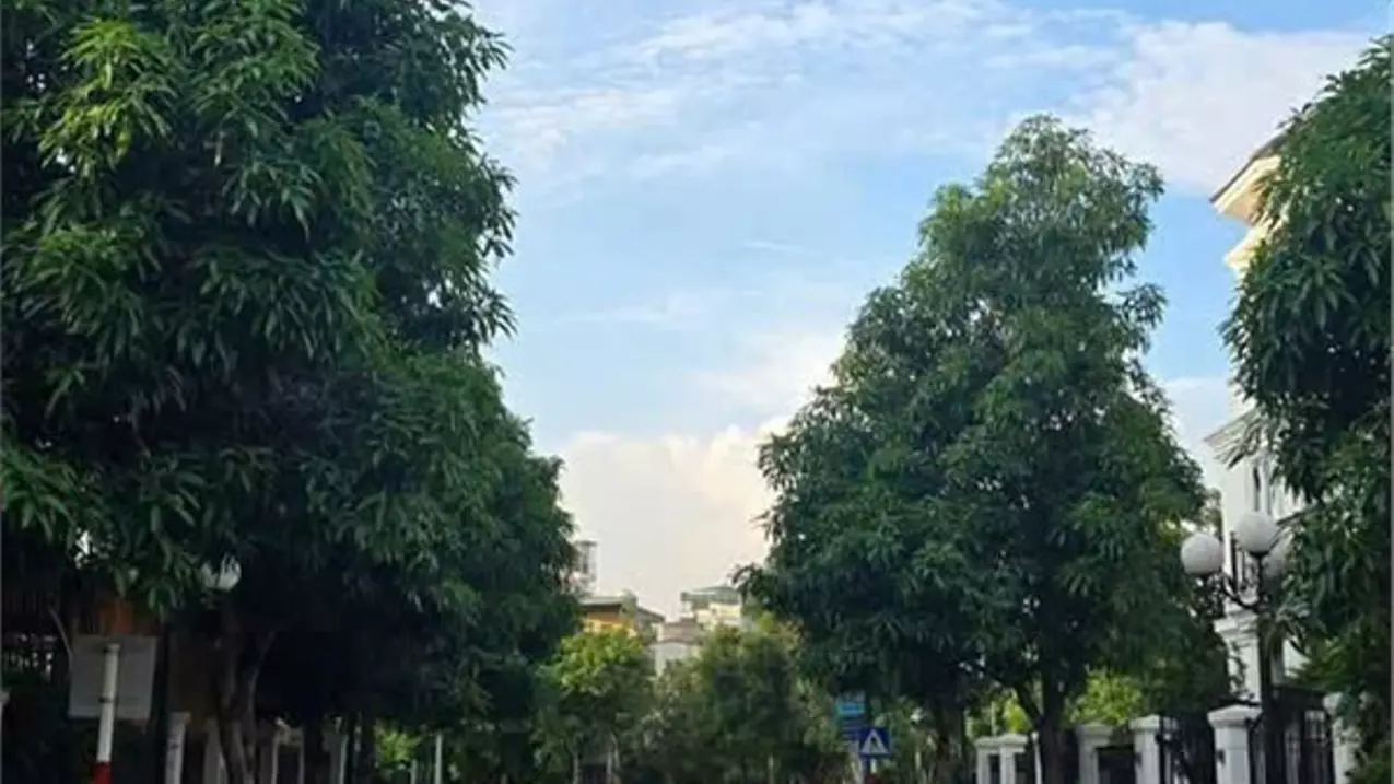 Nam Tu Liem
