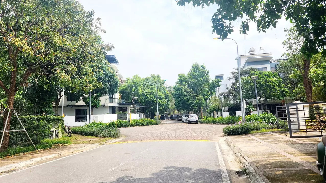 Hoang Mai