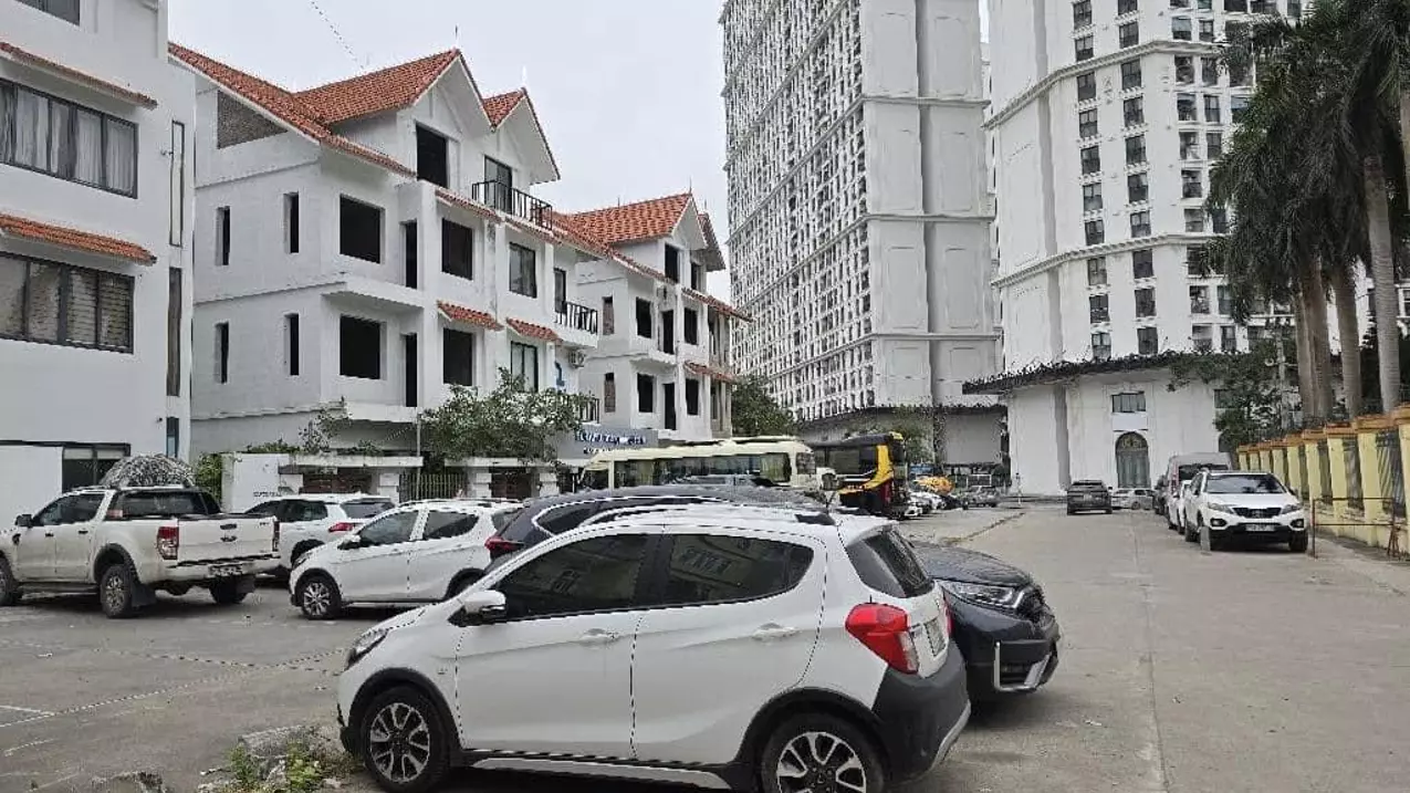 Nam Tu Liem