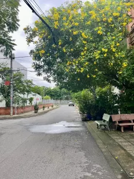 Tan Phu
