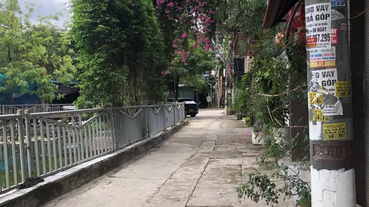 Hoang Mai