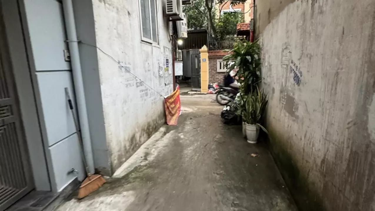Hoang Mai