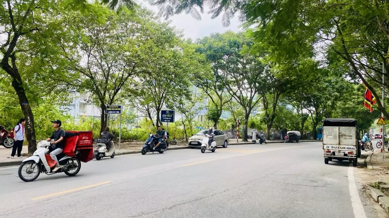 Hoang Mai