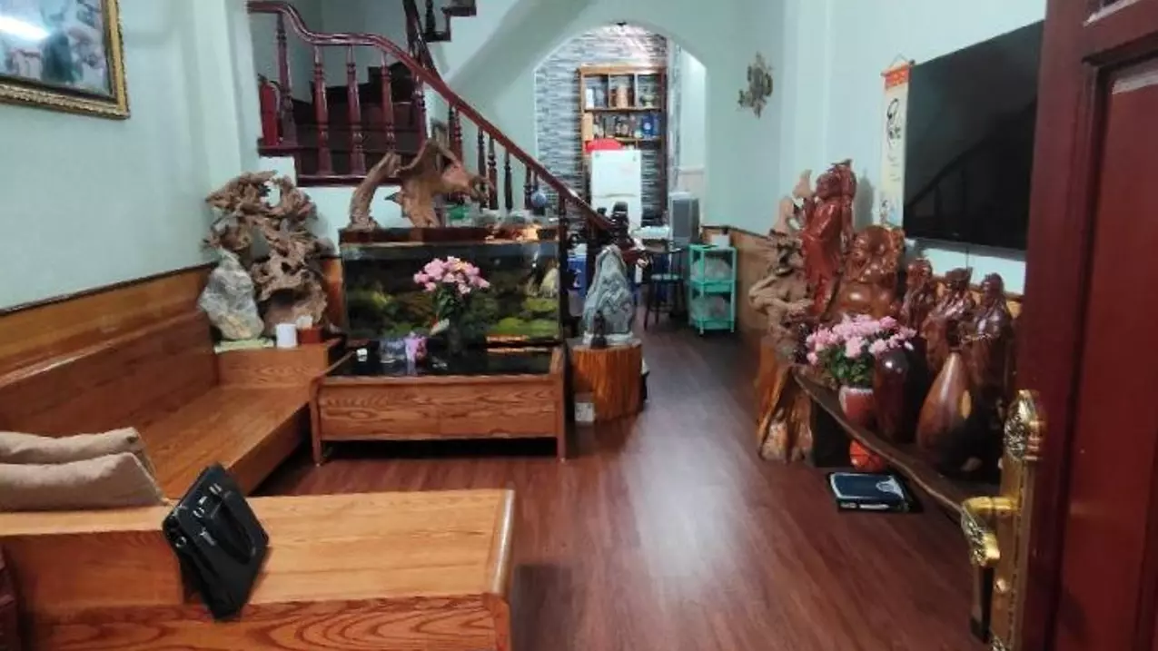 Hoang Mai