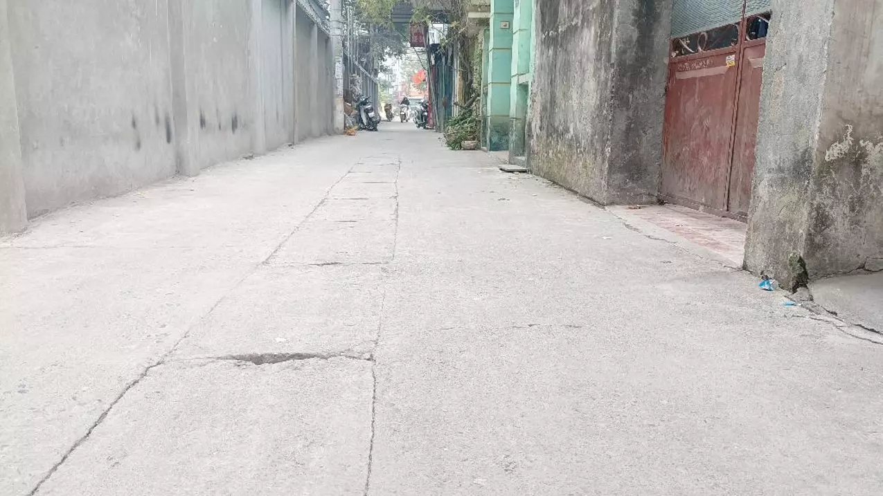 Hoang Mai
