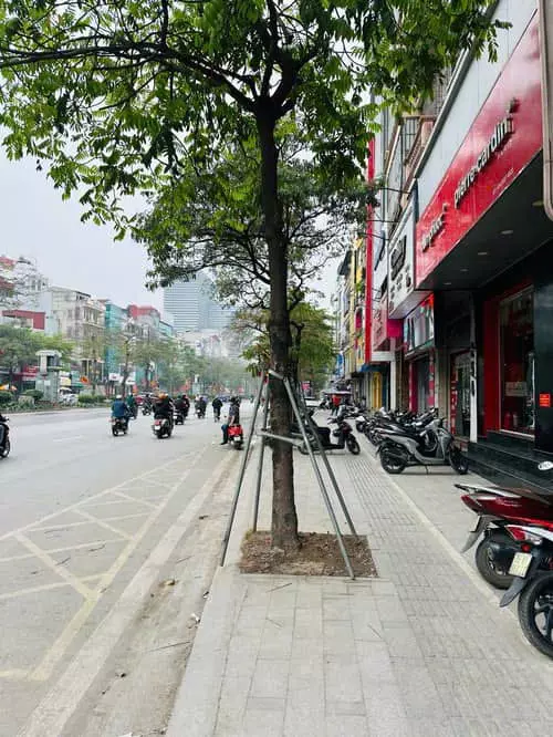 Dong Da
