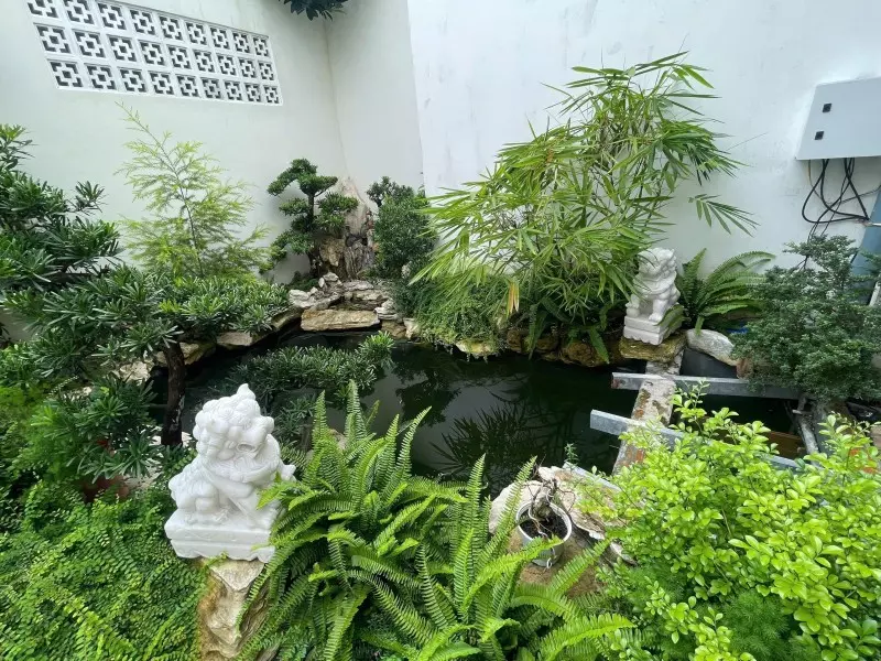 Thu Duc
