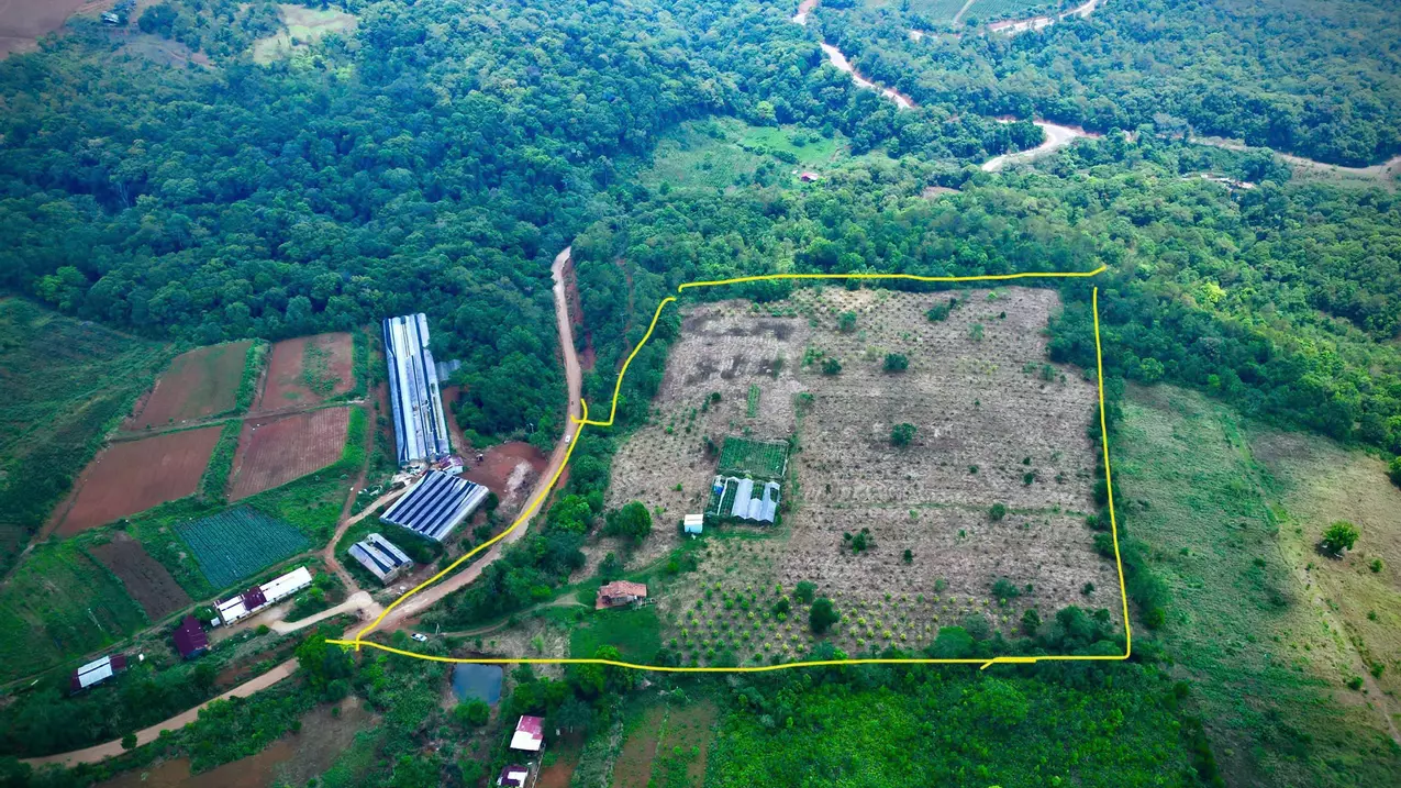 how much will you pay to get this 5 hectares of golden land?