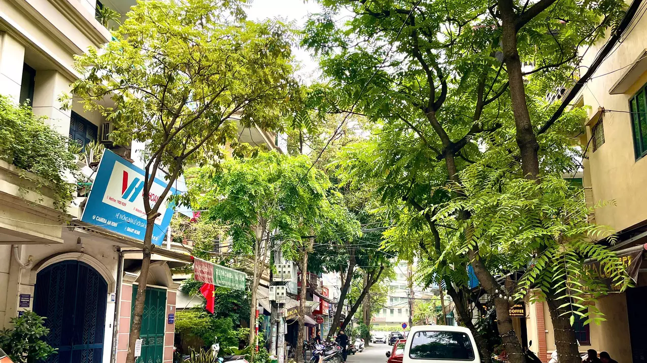 Hoang Mai