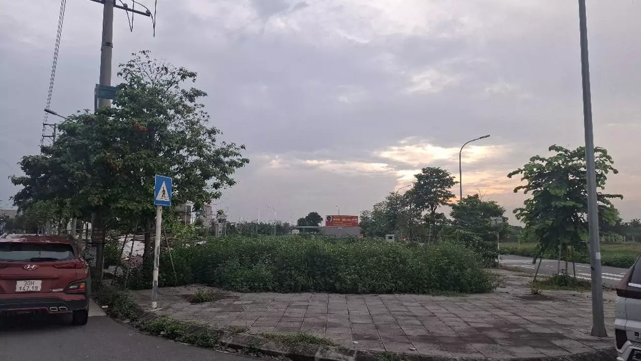 Dong Anh