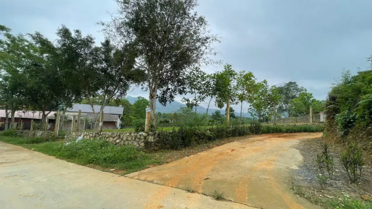 Nghia Lo