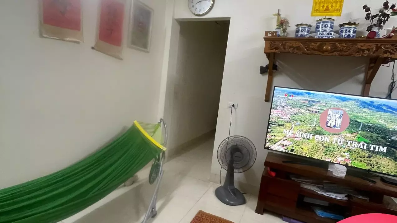 Dong Anh