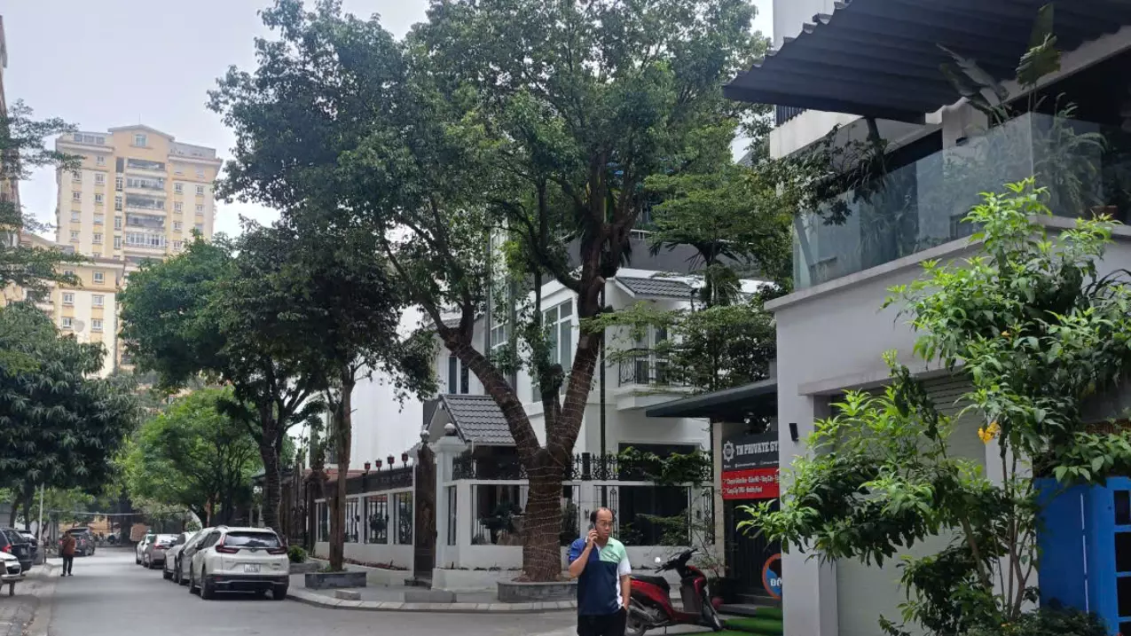 Nam Tu Liem