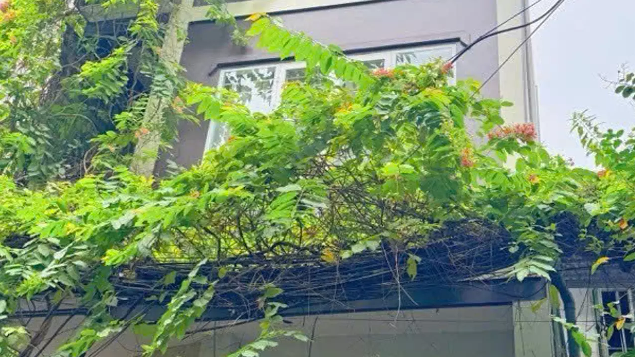 Nam Tu Liem