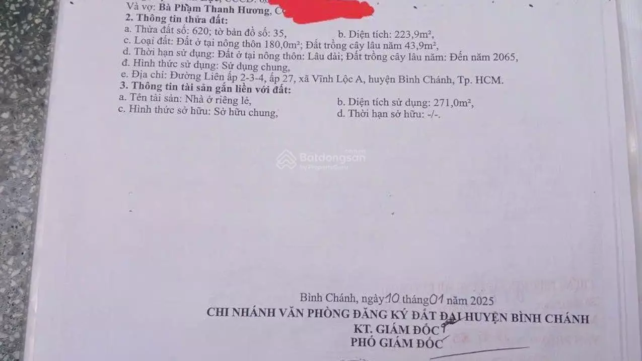 Binh Chanh
