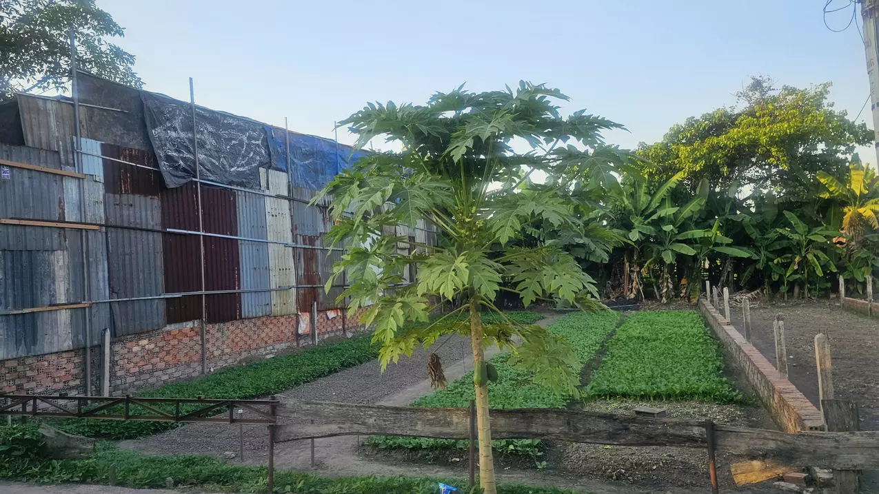 quick sale of beautiful lot of land with car need - good price in binh chanh.