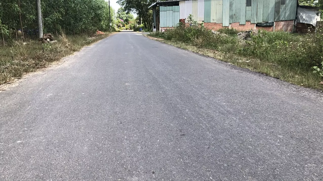 Trang Bom