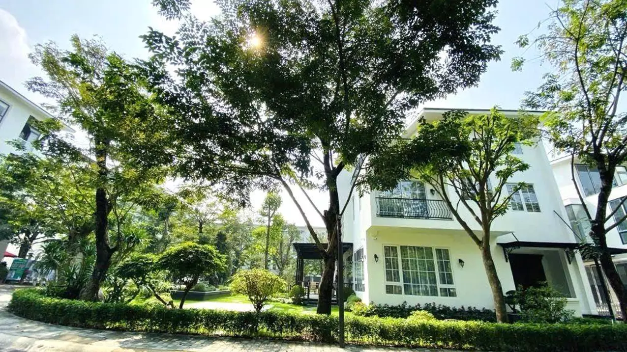 Van Giang